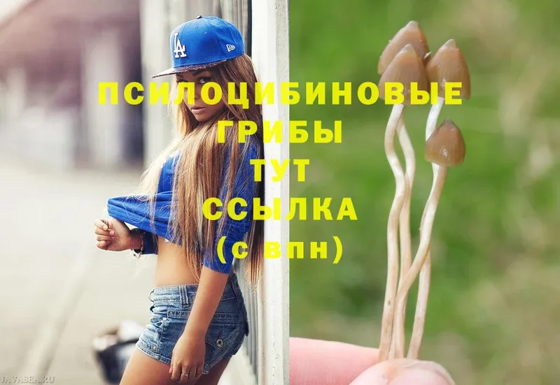 Галлюциногенные грибы MAGIC MUSHROOMS  Славск 